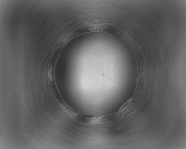 X0000051920090200507011611