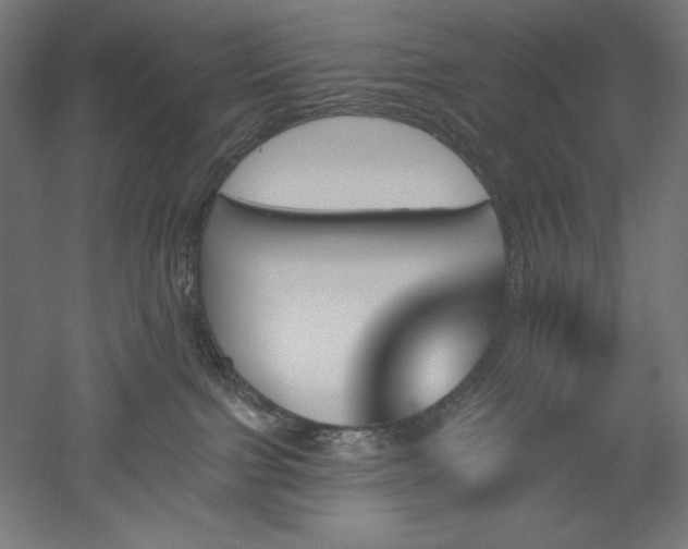 X0000051920091200507011611