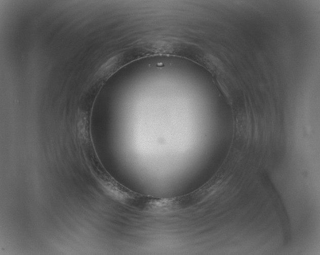 X0000051920092200507011611