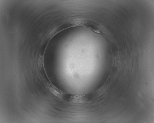 X0000051920093200507011611