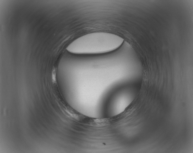 X0000051920095200507011611
