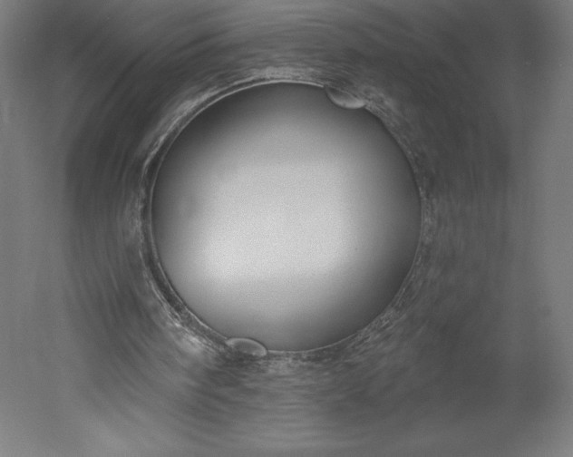 X0000051920098200507011610