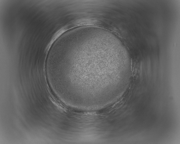 X0000051920099200507011610
