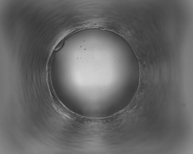 X0000051920100200507011610