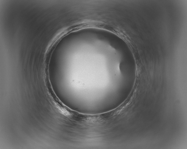 X0000051920101200507011610