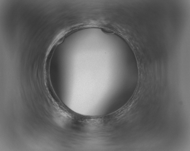 X0000051920102200507011610