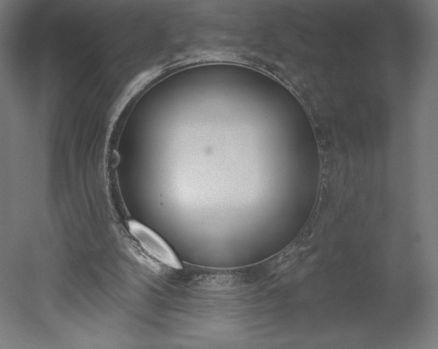 X0000051920104200507011610