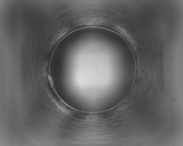 X0000051920105200507011610