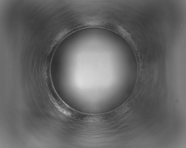 X0000051920106200507011610