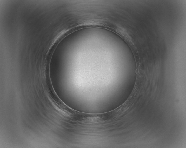 X0000051920108200507011610