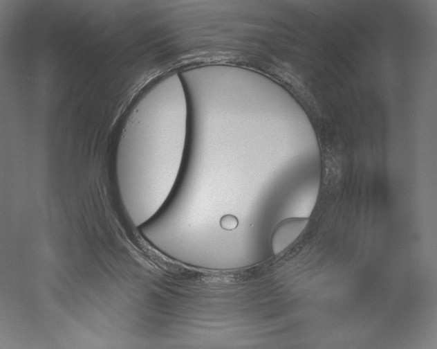 X0000051920110200507011610