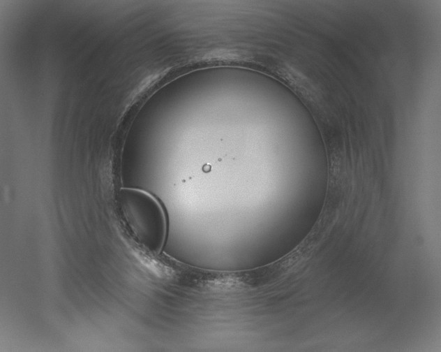 X0000051920112200507011610