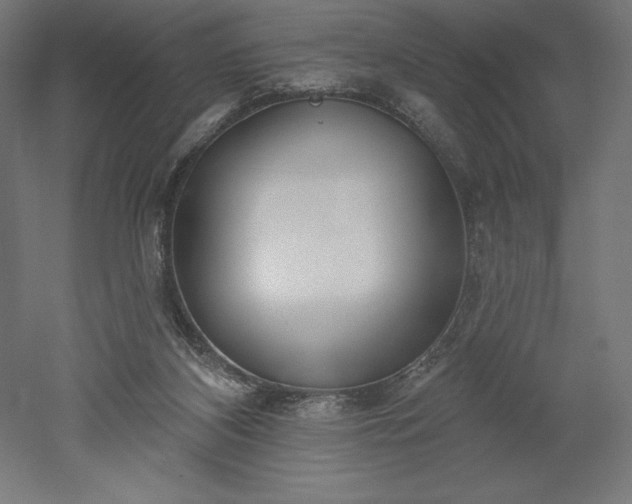 X0000051920116200507011610