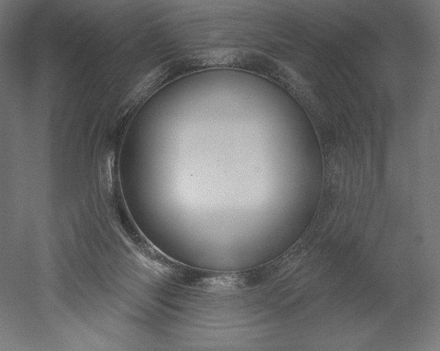 X0000051920118200507011610