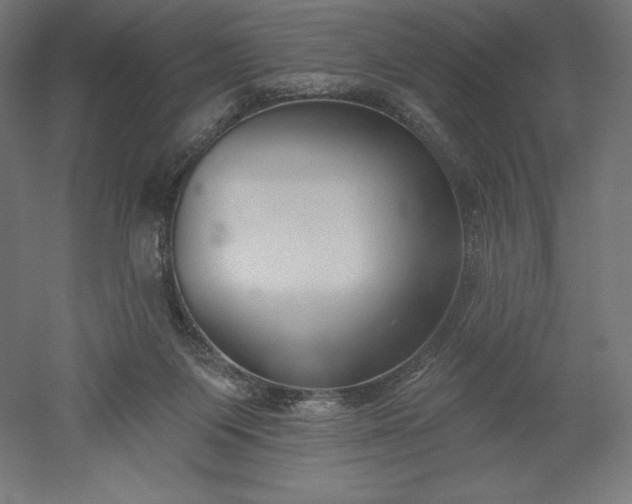 X0000051920119200507011610