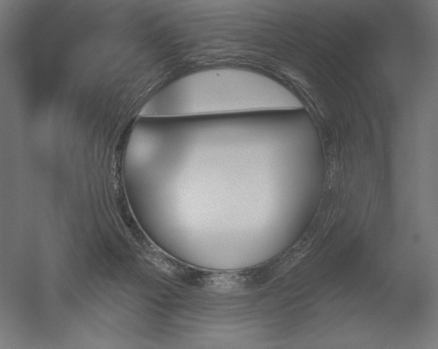 X0000051920121200507011610