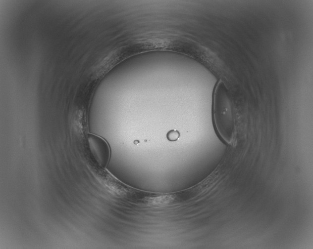 X0000051920122200507011610