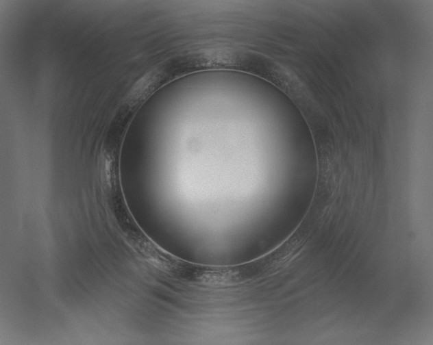 X0000051920123200507011610