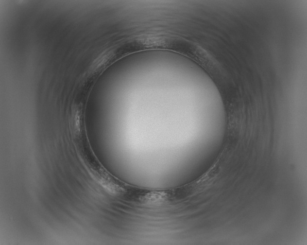 X0000051920124200507011610