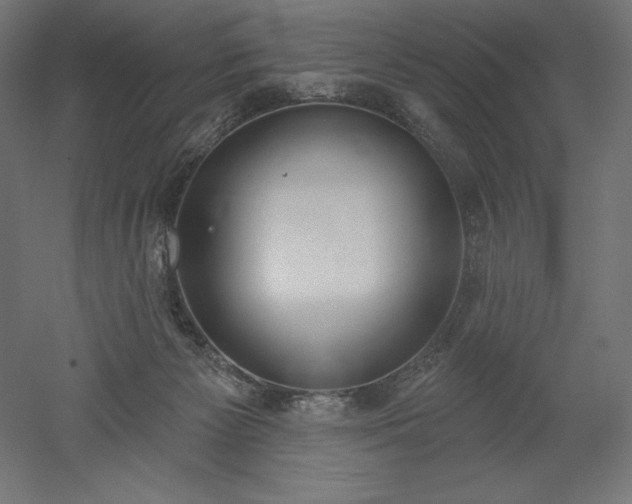 X0000051920125200507011610