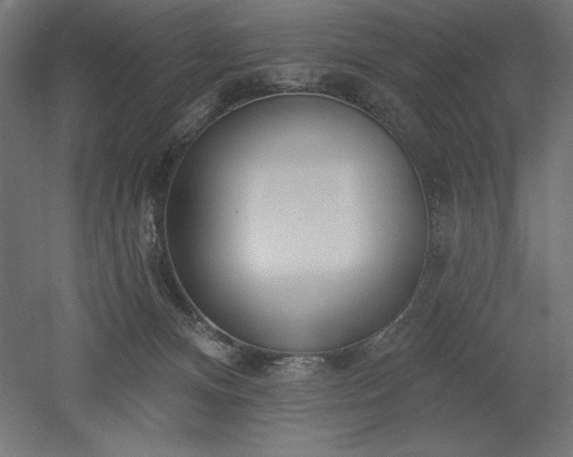 X0000051920128200507011610