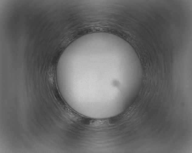 X0000051920129200507011610
