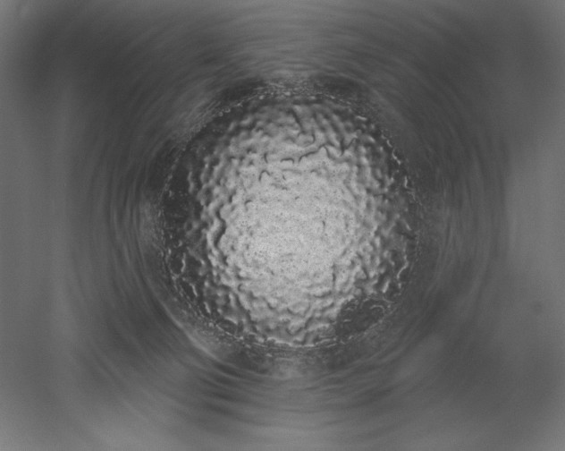 X0000051920130200507011610