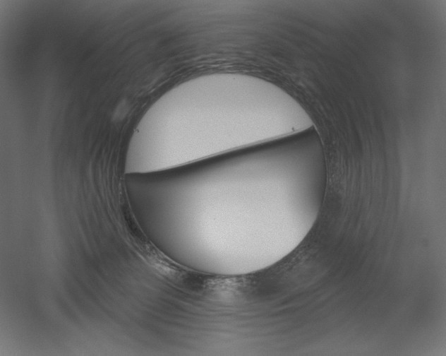 X0000051920131200507011610