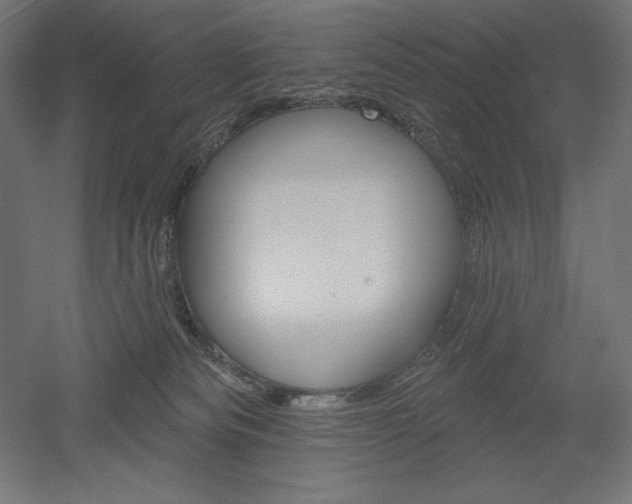 X0000051920133200507011610