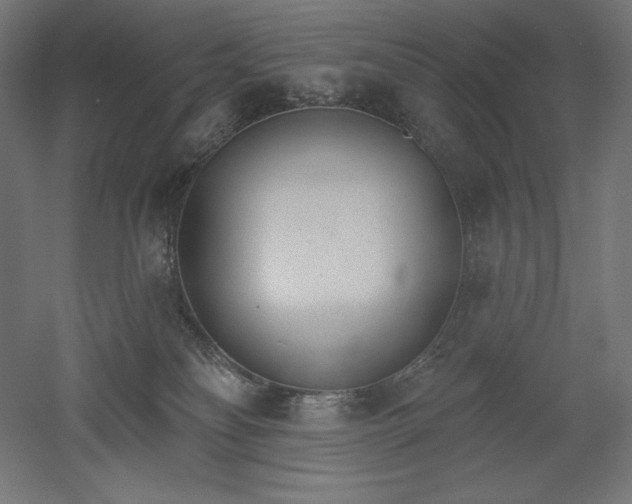 X0000051920134200507011610