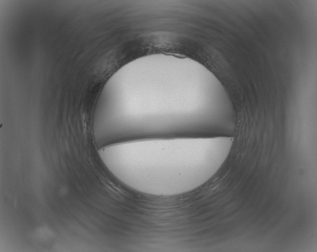 X0000051920135200507011610