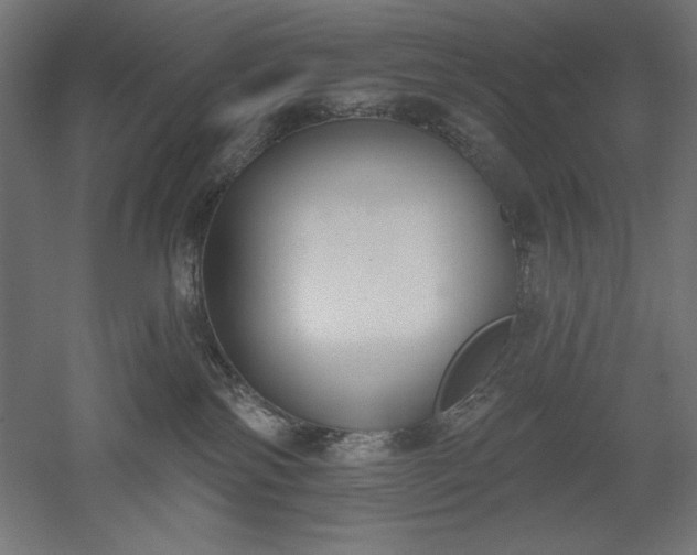 X0000051920138200507011609