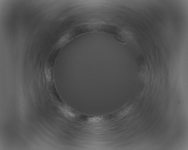 X0000051920139200507011609