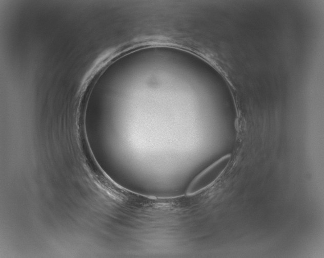 X0000051920151200507011609