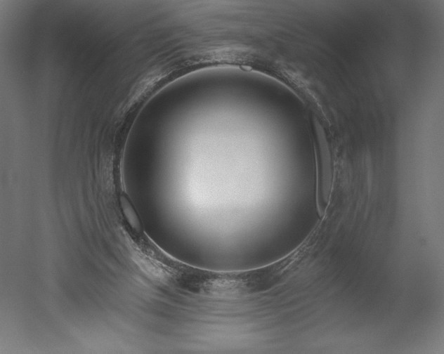 X0000051920154200507011609