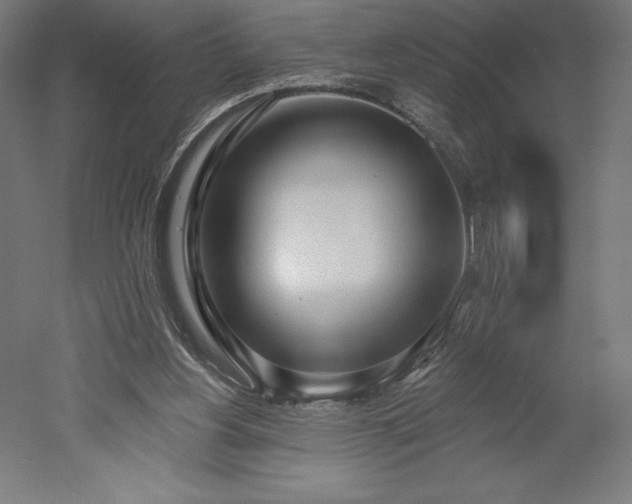 X0000051920156200507011609