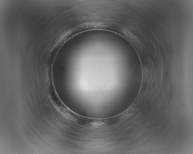 X0000051920158200507011609