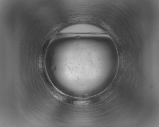 X0000051920161200507011609