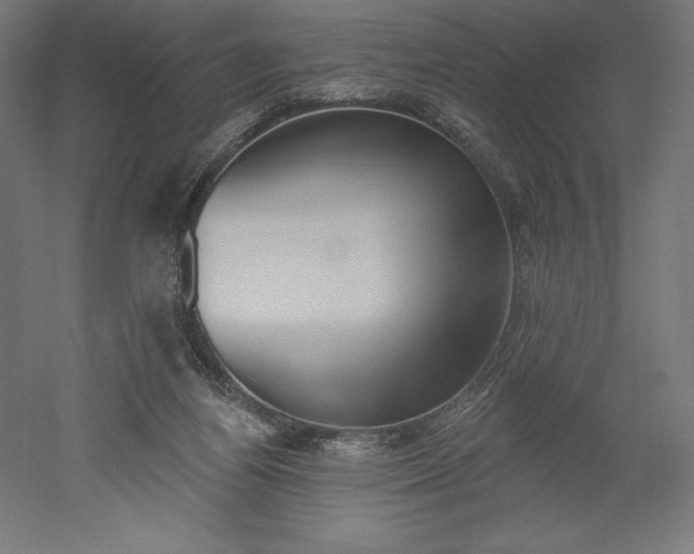 X0000051920164200507011609