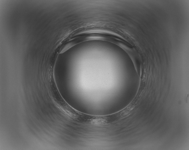 X0000051920168200507011609