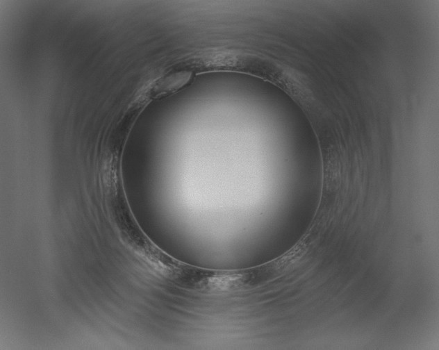 X0000051920172200507011609