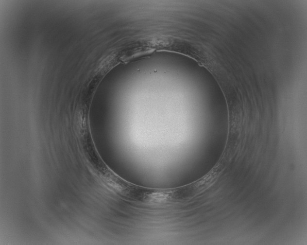 X0000051920176200507011609