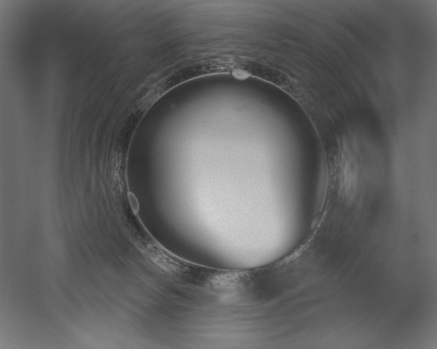 X0000051920178200507011609