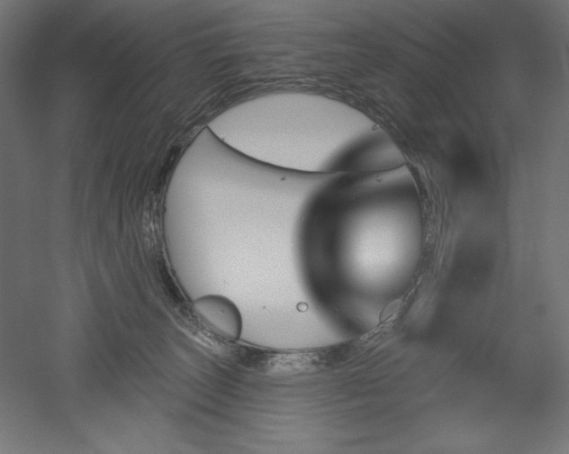 X0000051920179200507011609