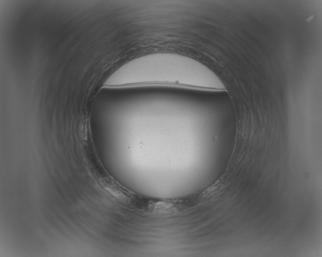 X0000051920180200507011609