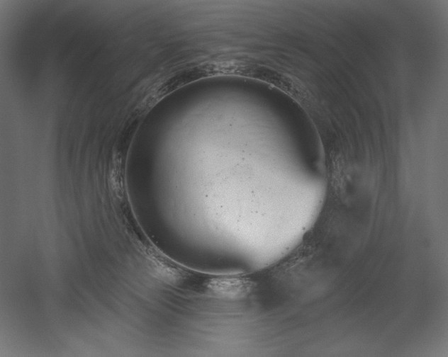 X0000051920181200507011609