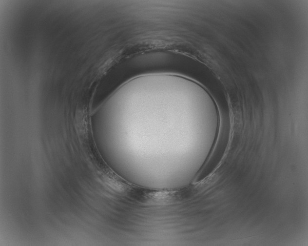 X0000051920184200507011609
