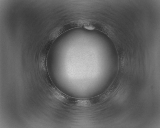 X0000051920185200507011609