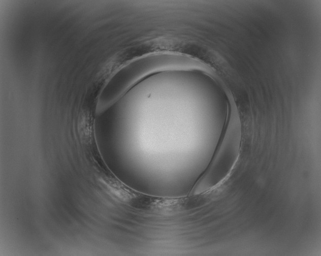 X0000051920186200507011609
