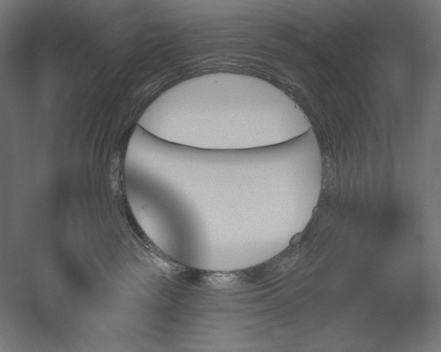 X0000051920189200507011609